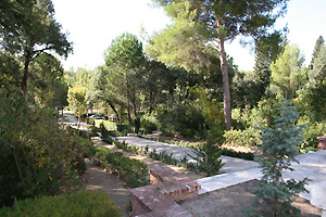 Vista parcial Arboreto